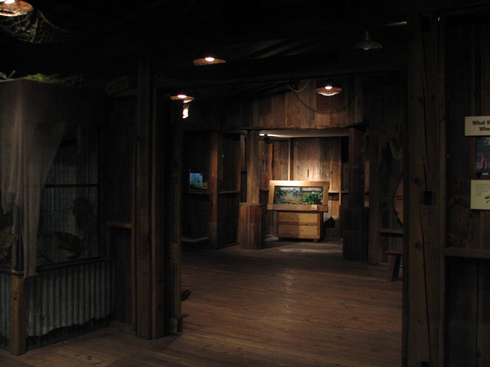The Swamp - Old Sawmill Interior