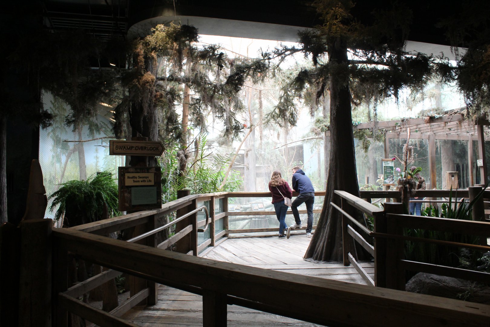 The Swamp - Overlook