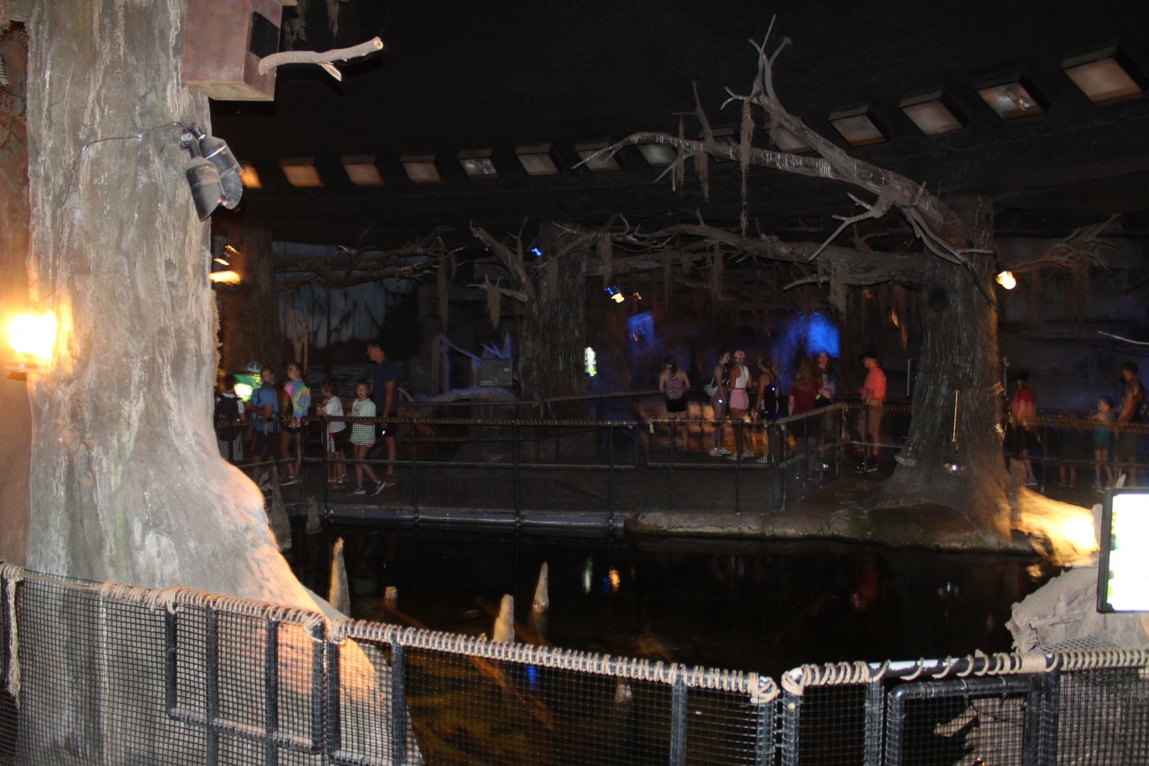 The Swamp Overview - Kingdoms of the Night