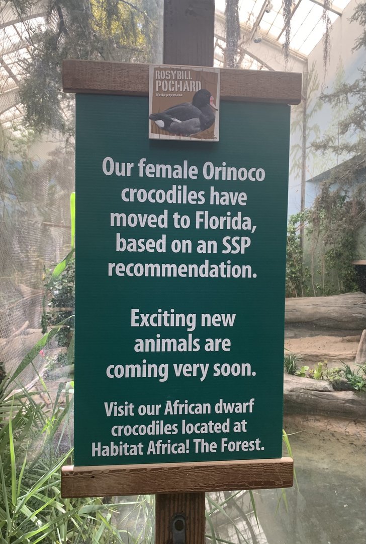 The Swamp - Signage in former Orinoco crocodile exhibit