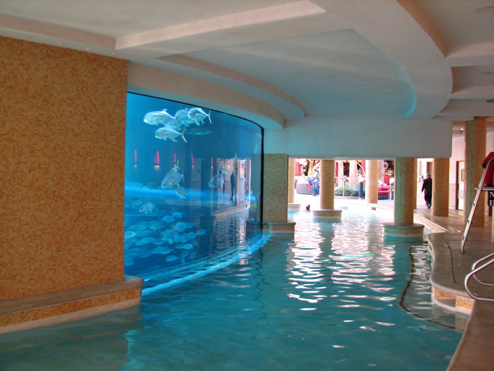The Tank at Golden Nugget Hotel Casino in Las Vegas - Backside of Aquarium