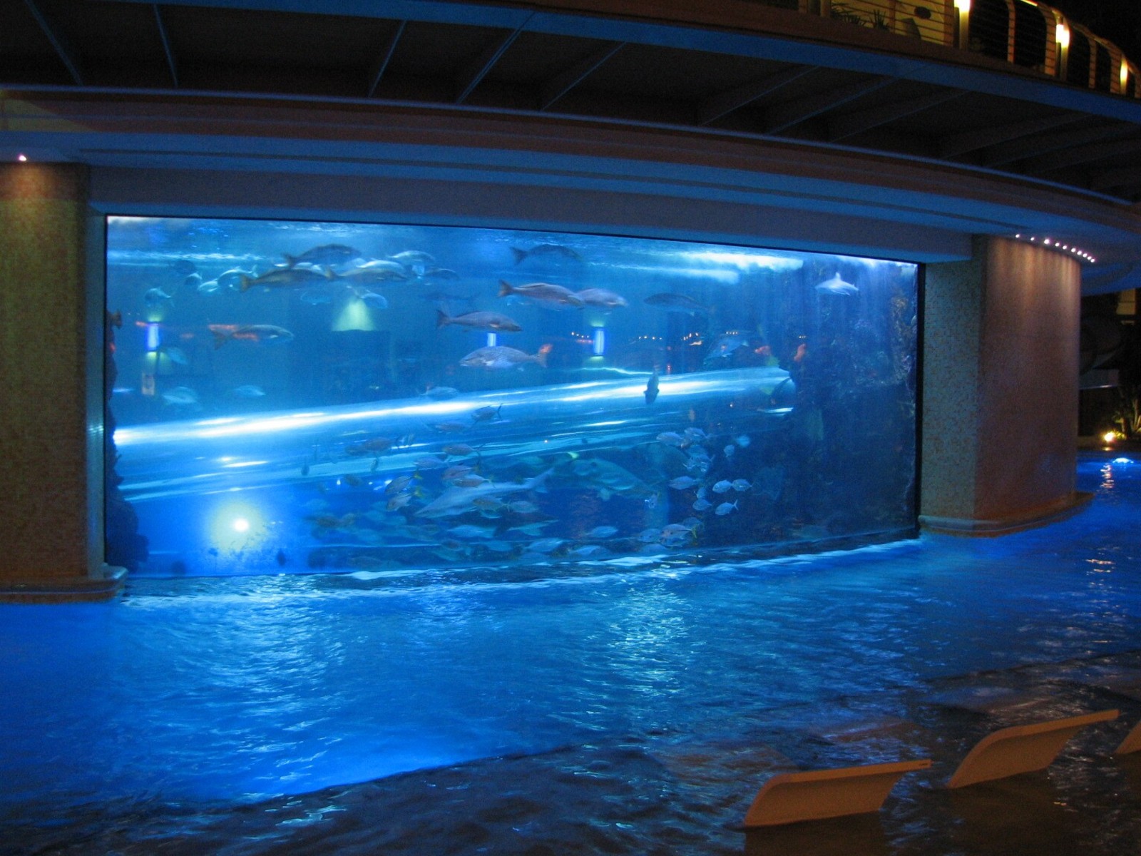 The Tank at Golden Nugget Hotel Casino in Las Vegas - Night view