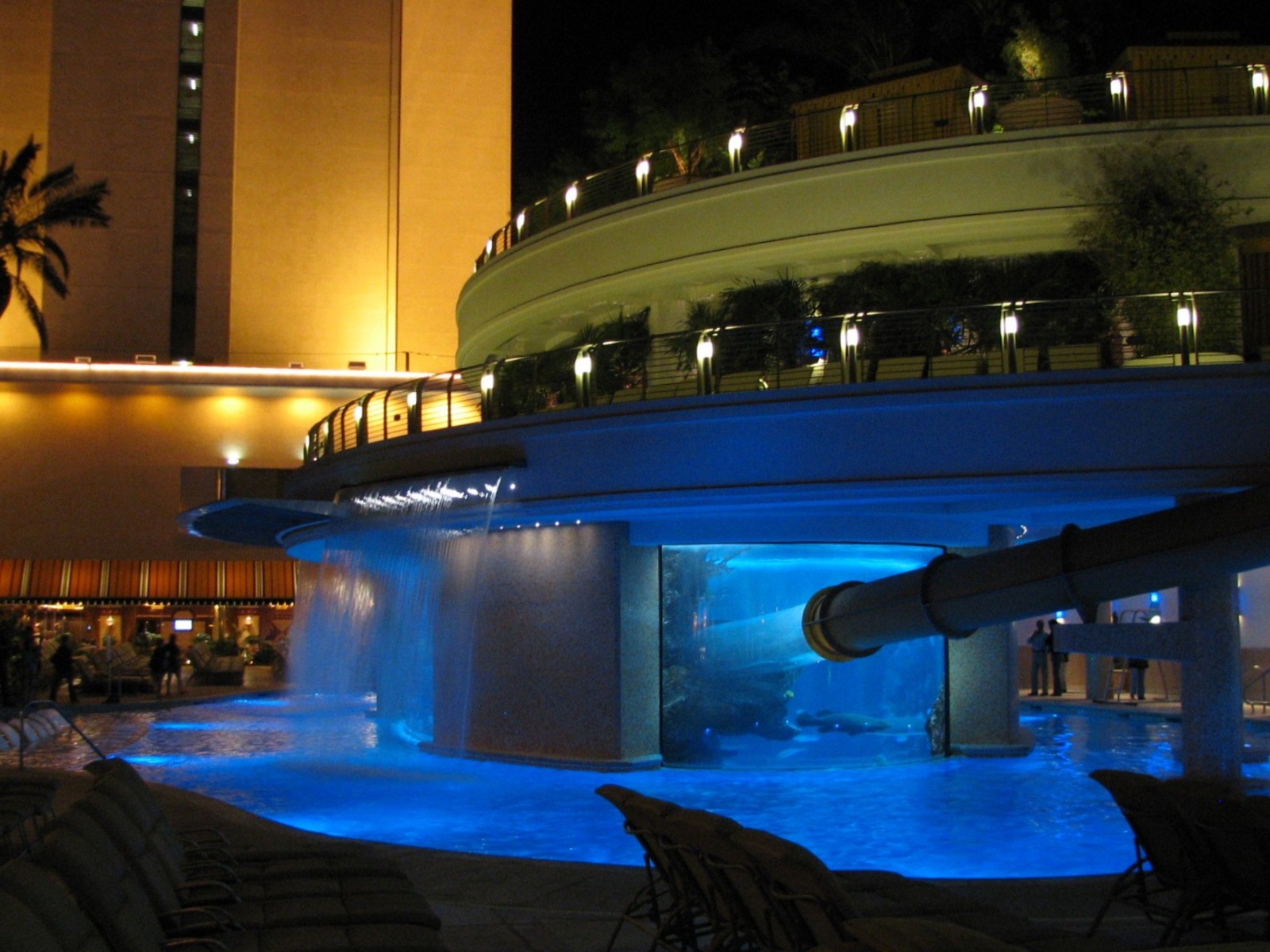 The Tank at Golden Nugget Hotel Casino in Las Vegas - Pool Overview at Nigh
