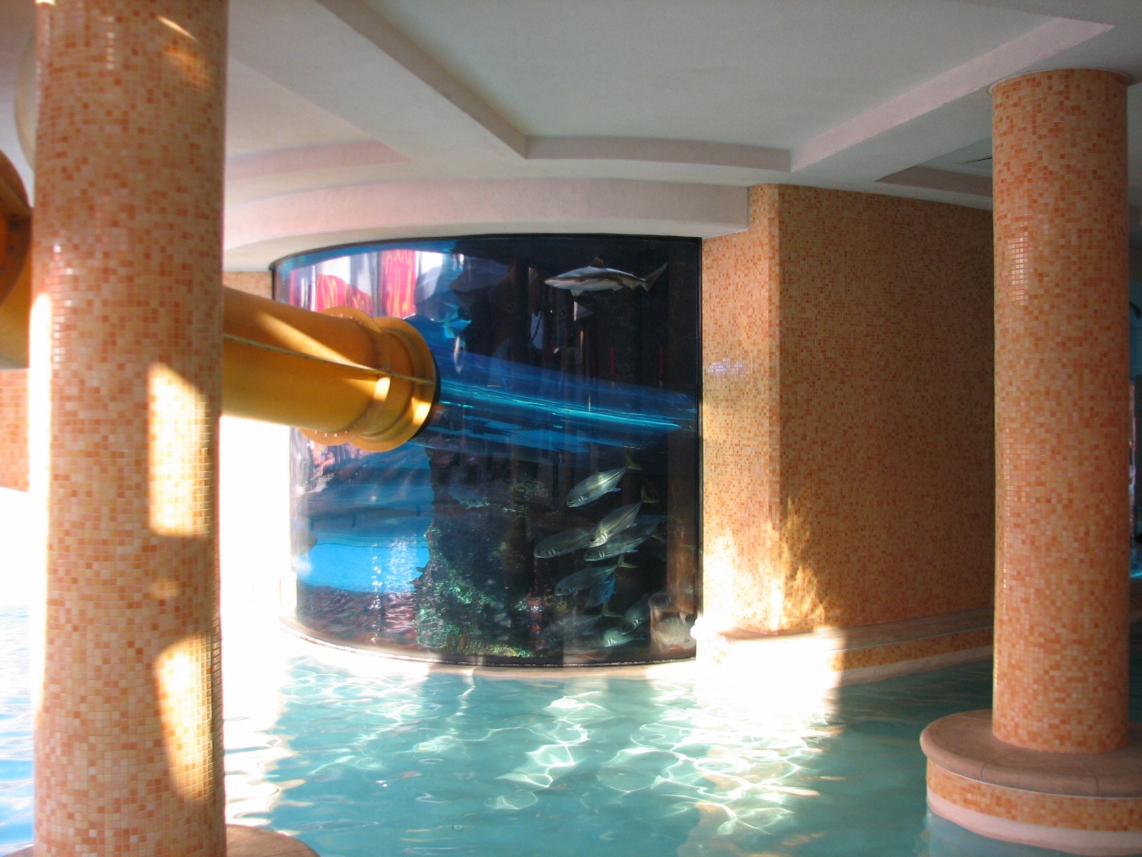 The Tank at Golden Nugget Hotel Casino in Las Vegas - Waterslide entering a