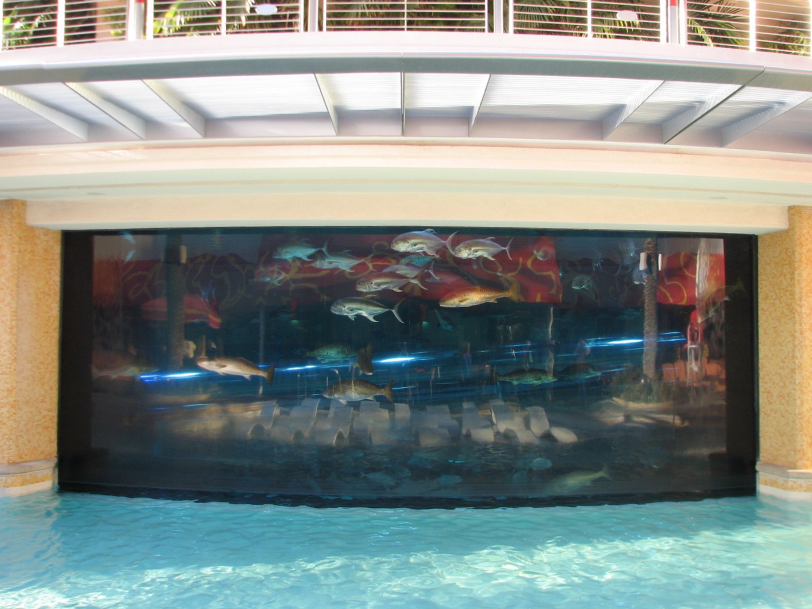 The Tank at Golden Nugget Hotel Casino in Las Vegas