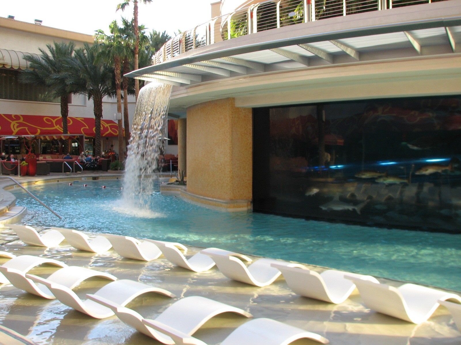 The Tank at Golden Nugget Hotel Casino in Las Vegas