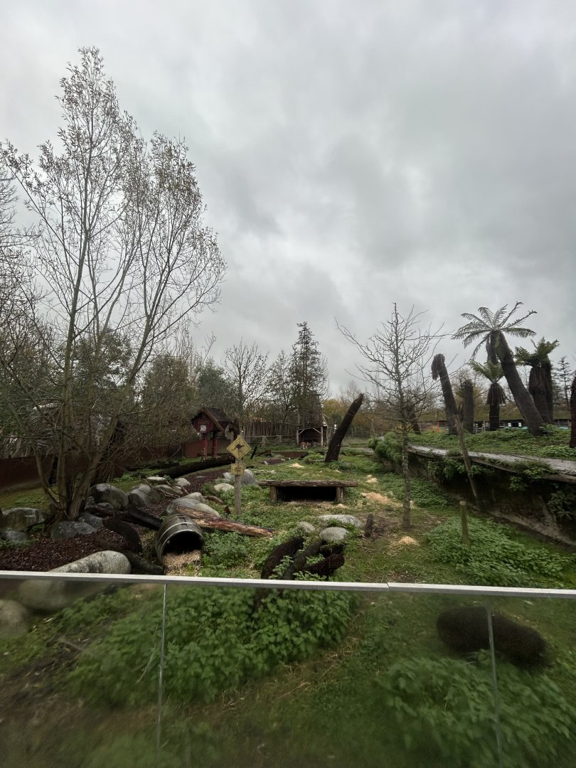 The Tasmanian devil, red and grey kangaroo enclosure