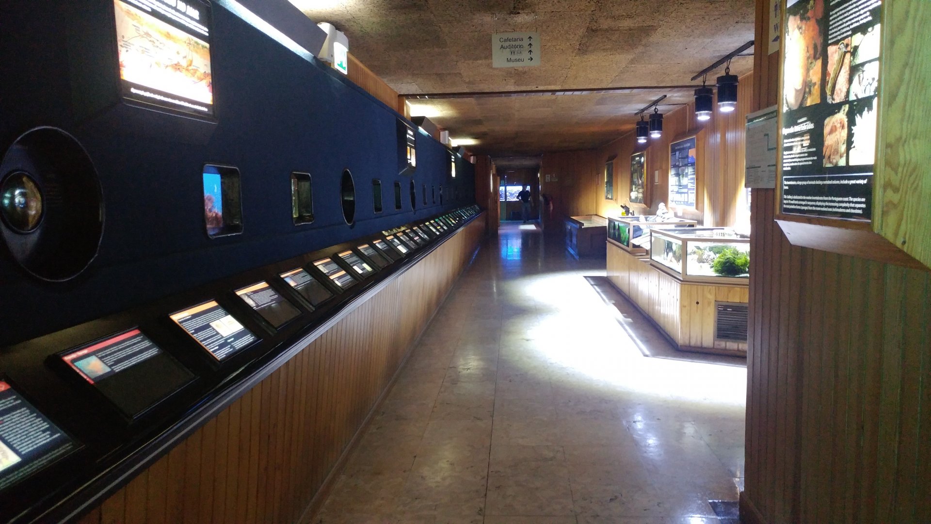 The taxonomic collection