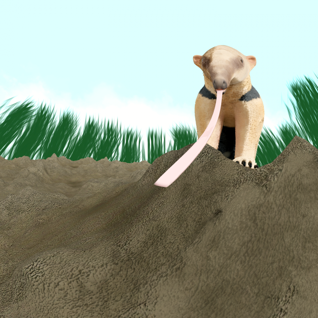 The Termite's last day on Planet Earth