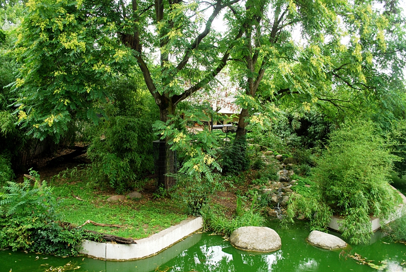 The tiger enclosure at Stuttgart