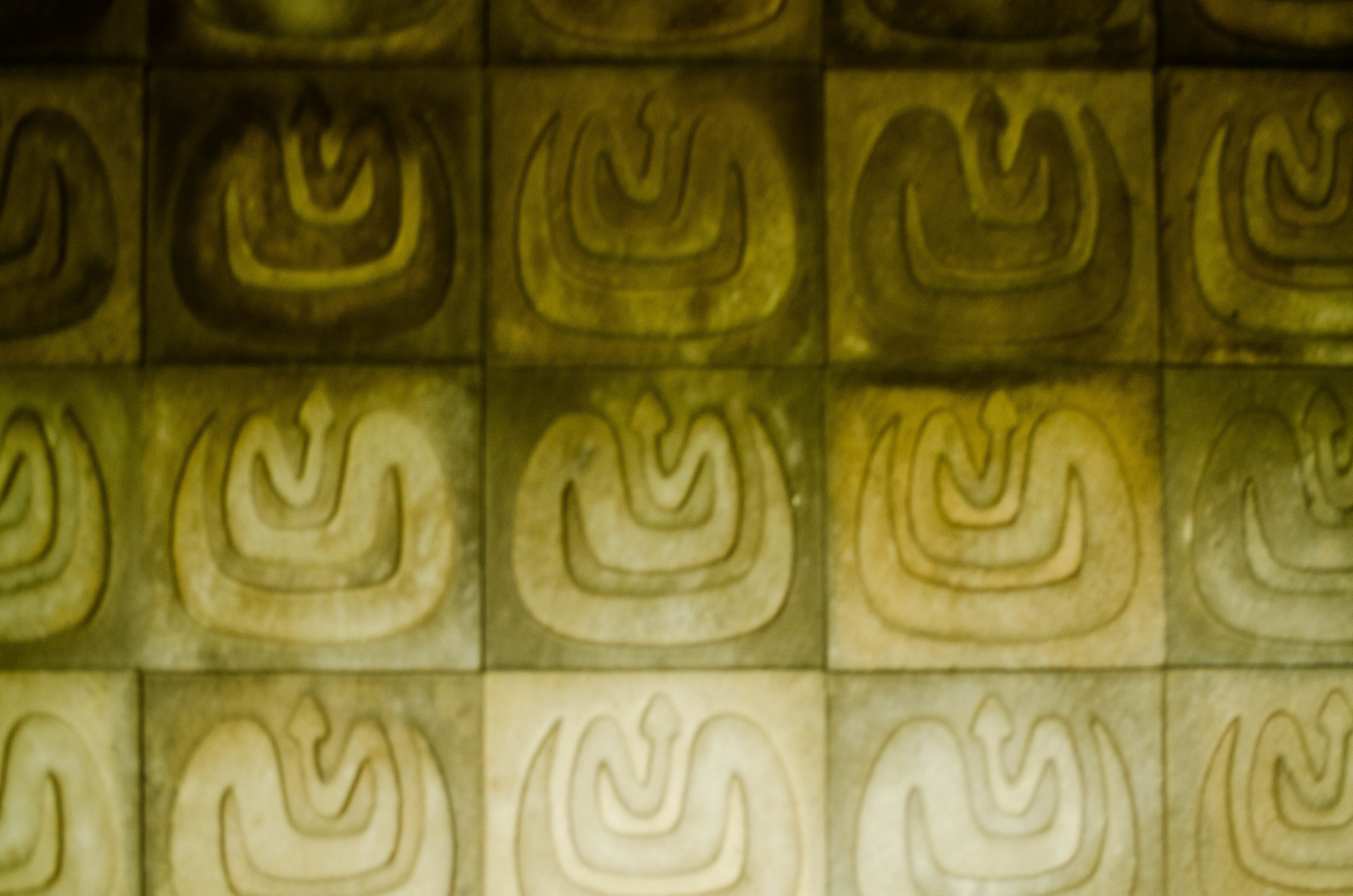 The tile in the reptile house