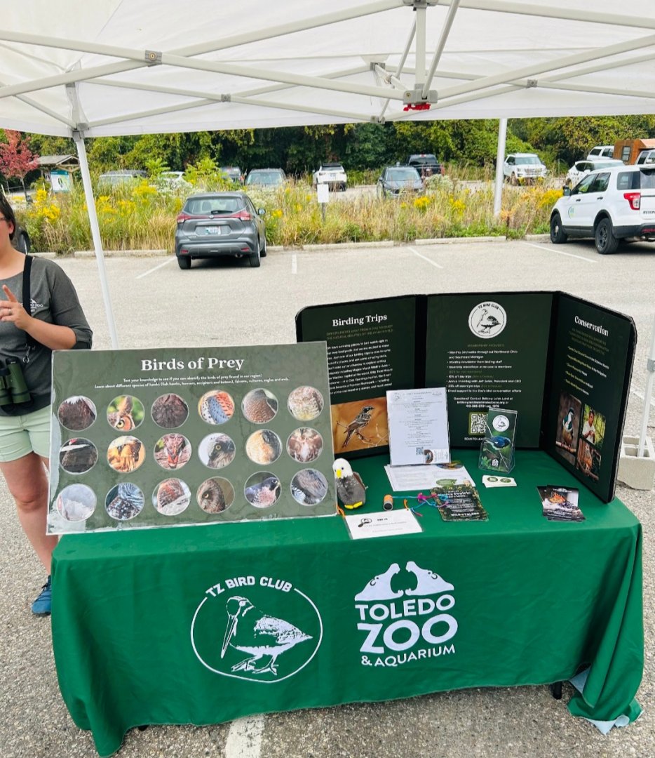 The Toledo Zoo was there (Lake Erie Metropark Hawkfest, Wayne County, MI, 9/21/25)