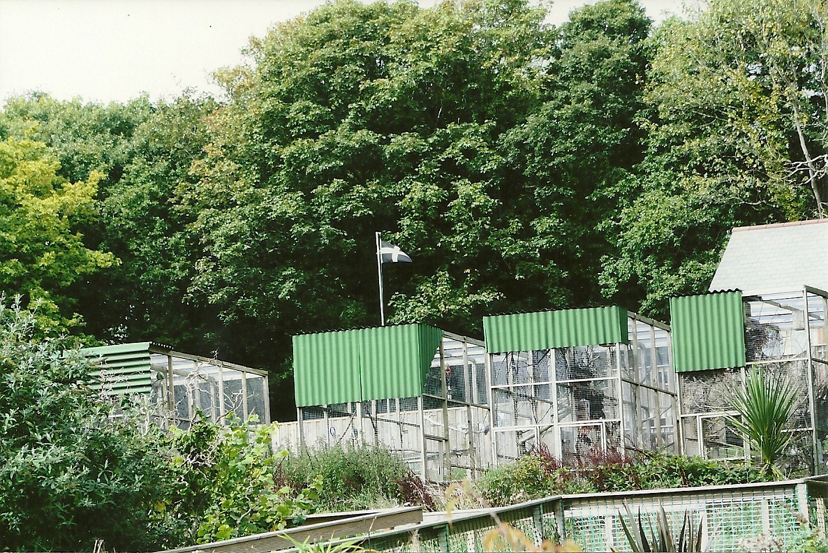 The top of the garden 5th September 2011