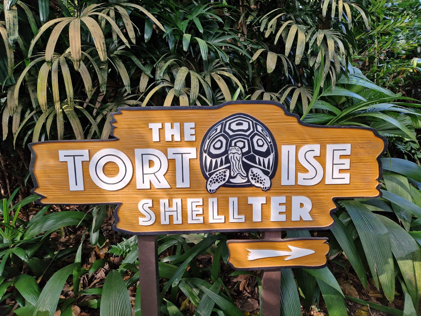 The Tortoise Shelter