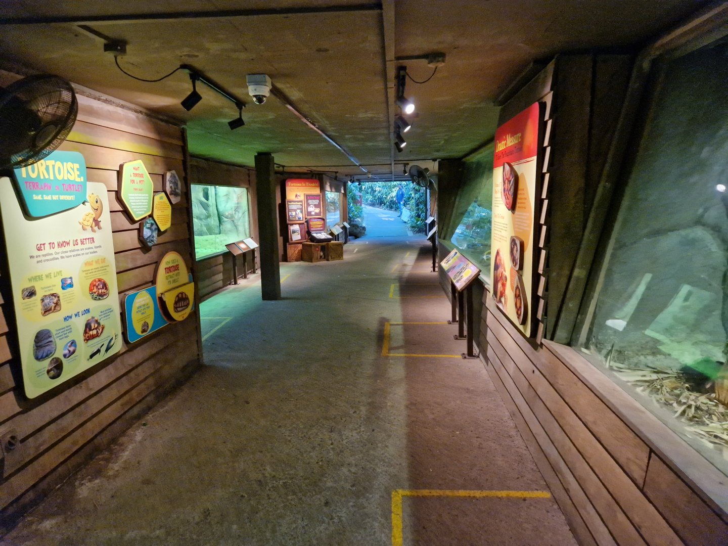 The Tortoise Shelter