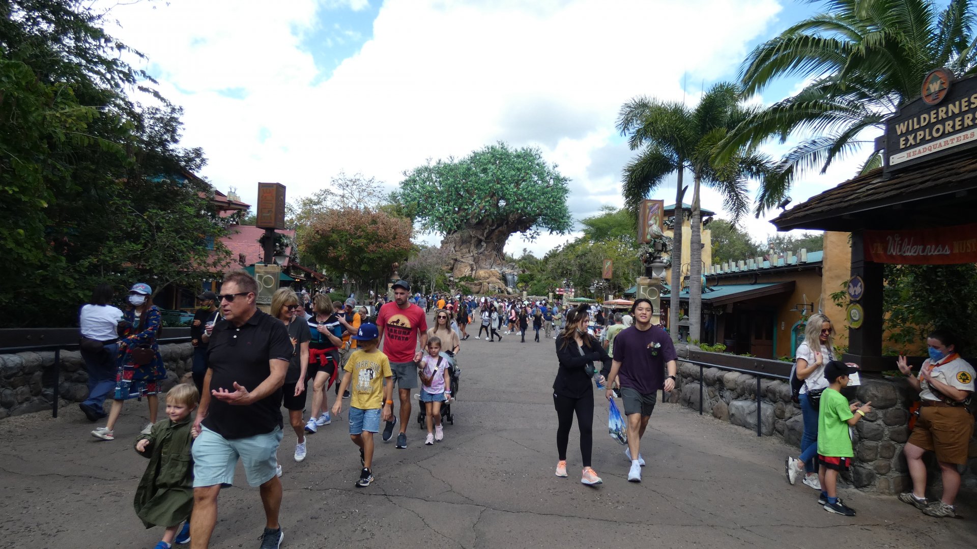 The Tree of Life, Discovery Island - Jan. 2022