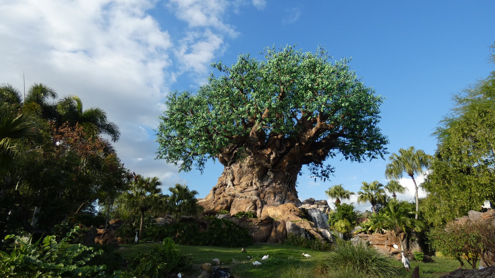 The Tree of Life, Discovery Island - Jan. 2022