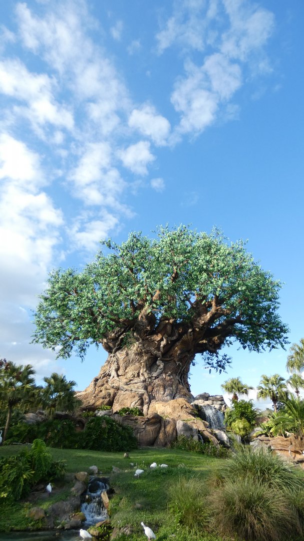 The Tree of Life, Discovery Island - Jan. 2022
