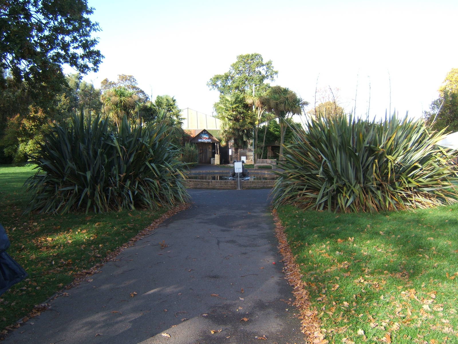 The Tropical Zoo,London