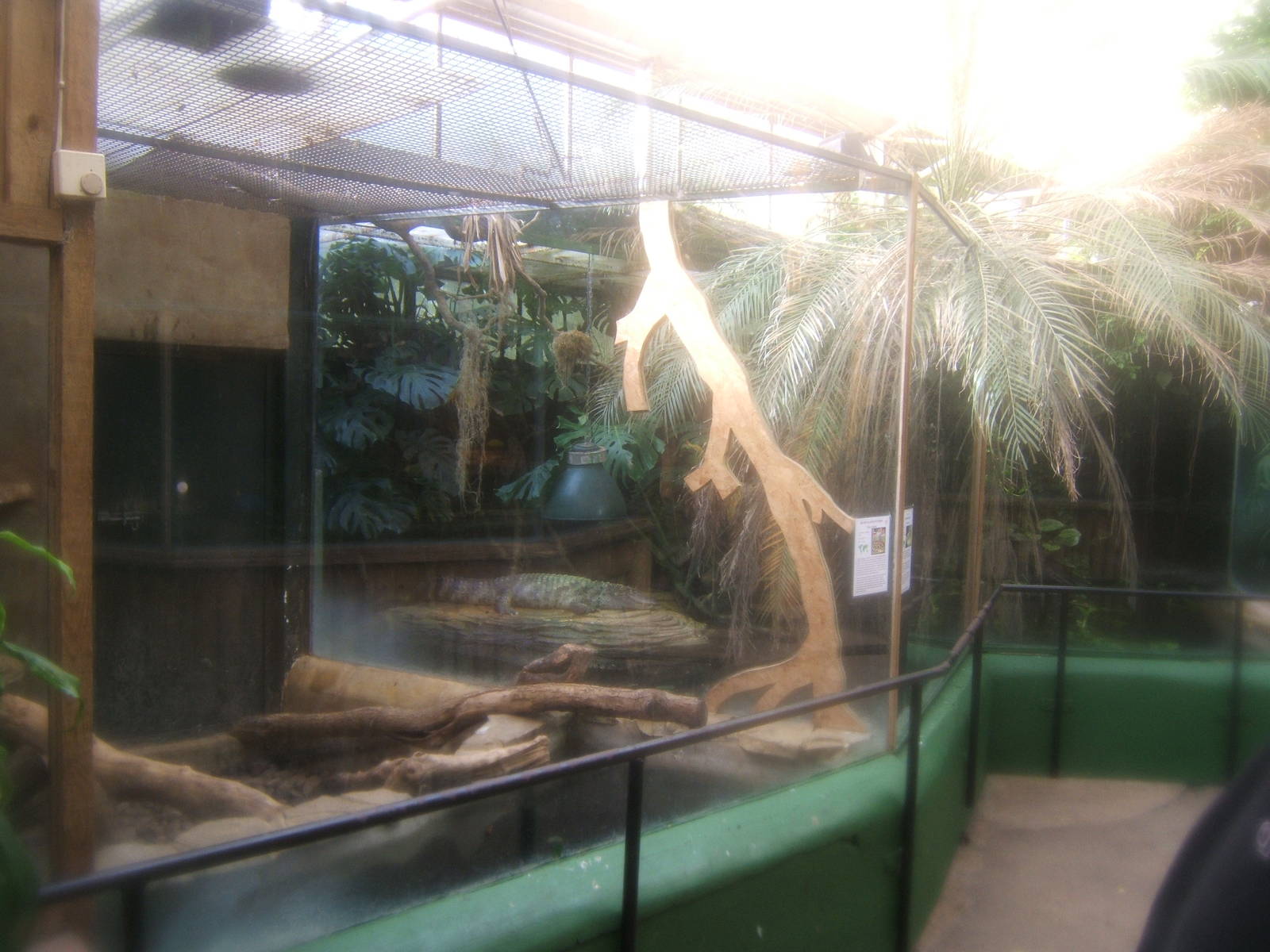 The Tropical Zoo,London