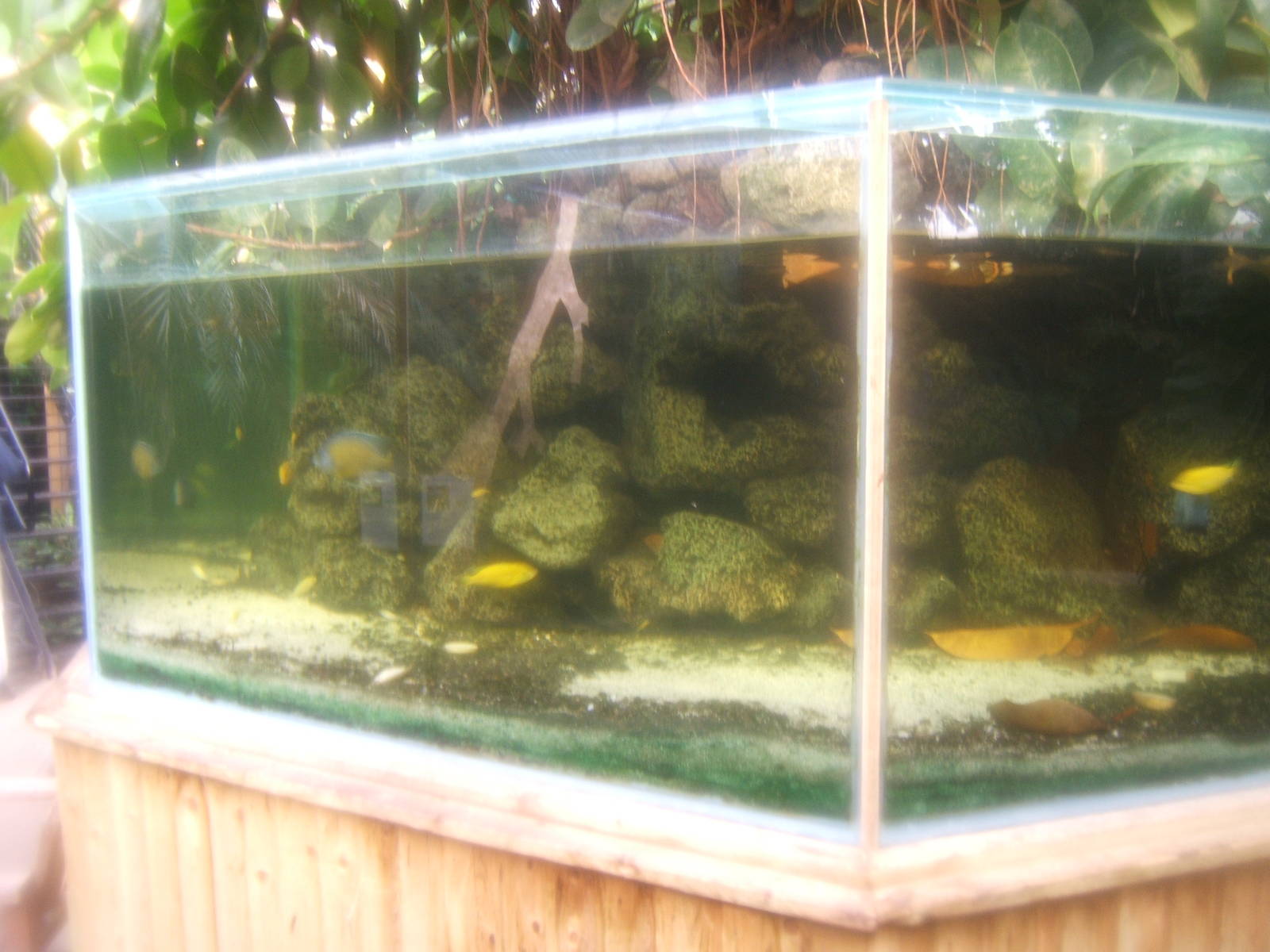 The Tropical Zoo,London