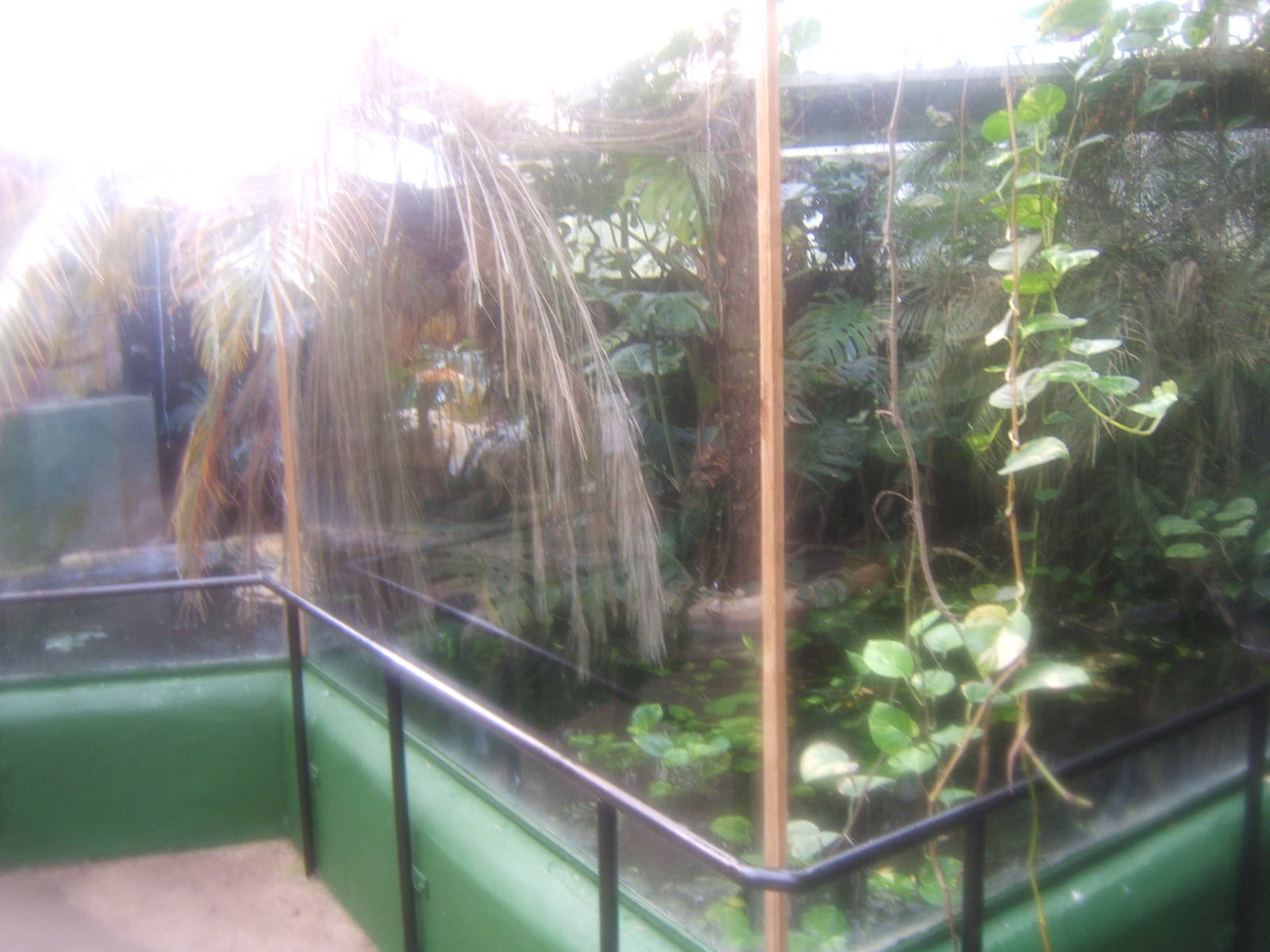 The Tropical Zoo,London