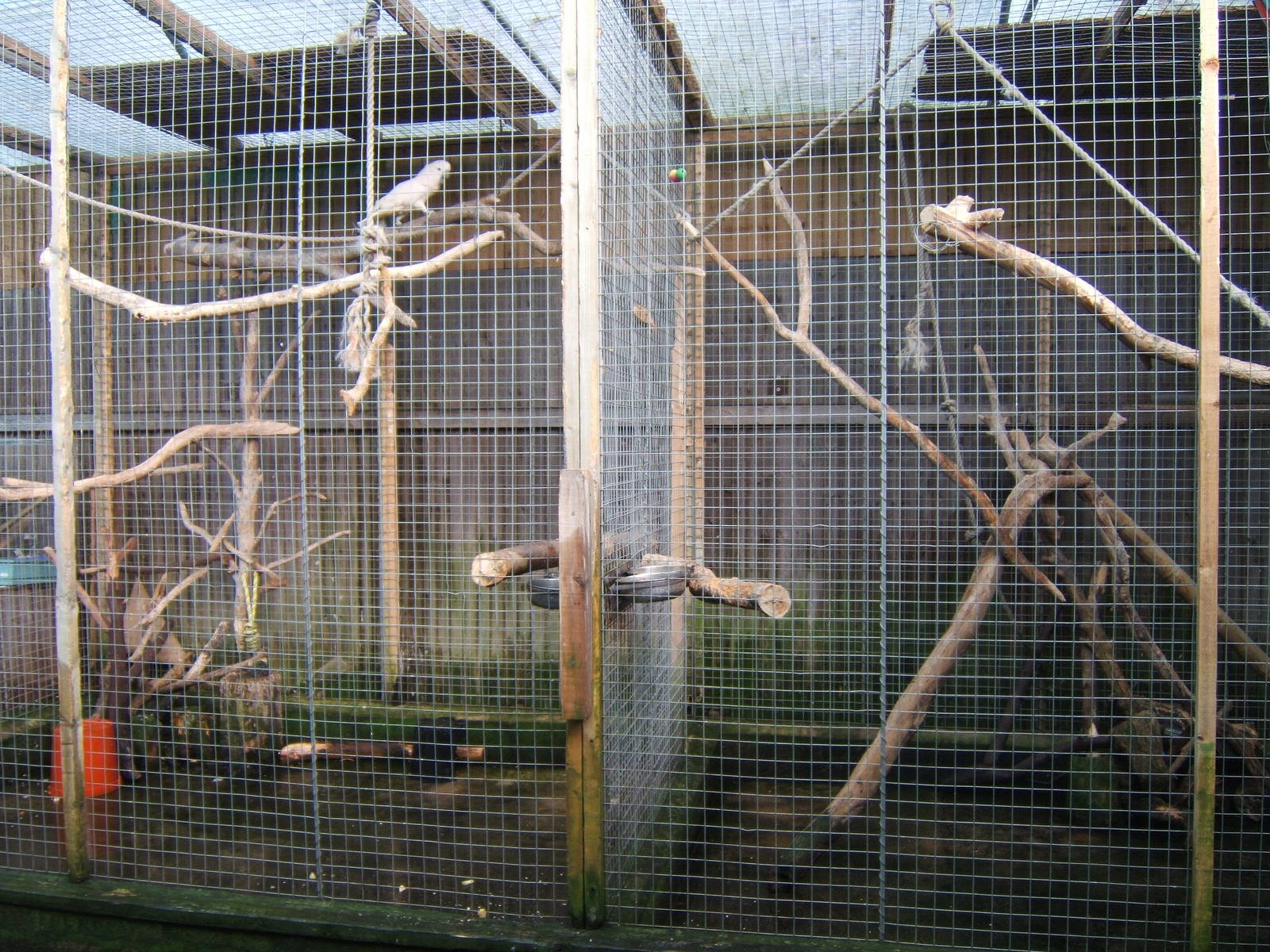 The Tropical Zoo,London