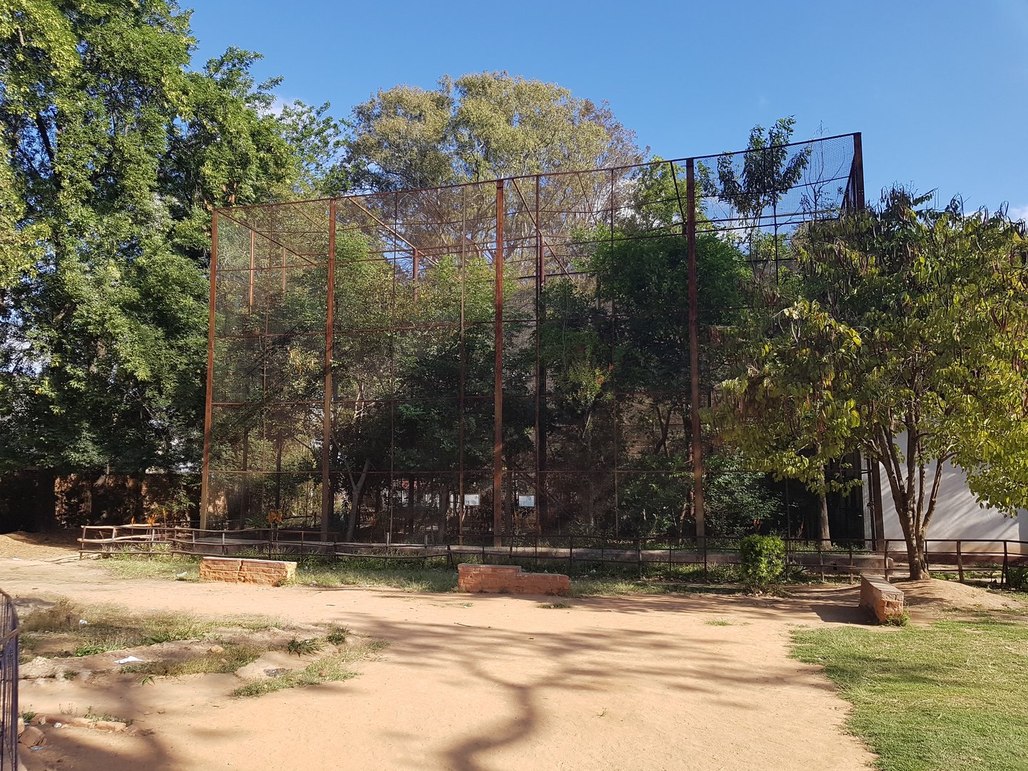 The two biggest cages for lemurs. These are really nice, especially compared to the really small cages behind the vivarium building
