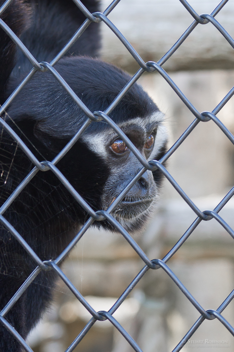 The Twycross Experience - 30/09/2011