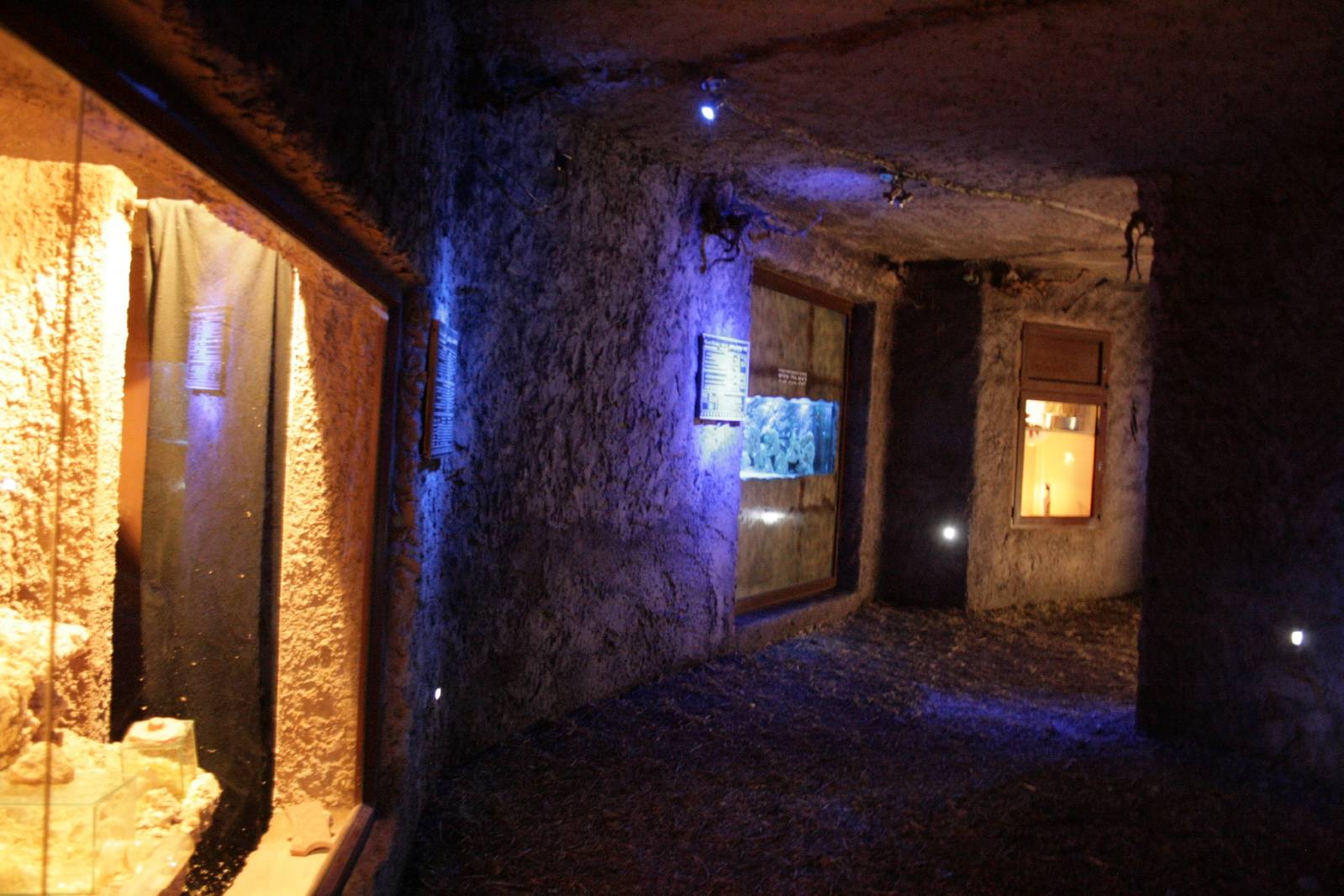 The underground world exhibit