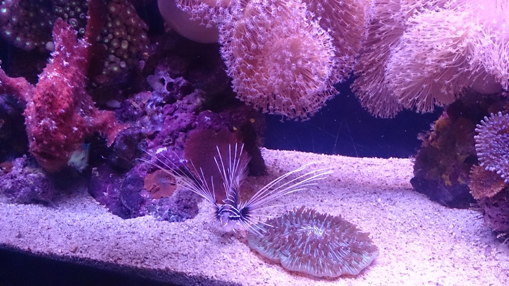 The Underwater Observatory Marine Park 26.10.13