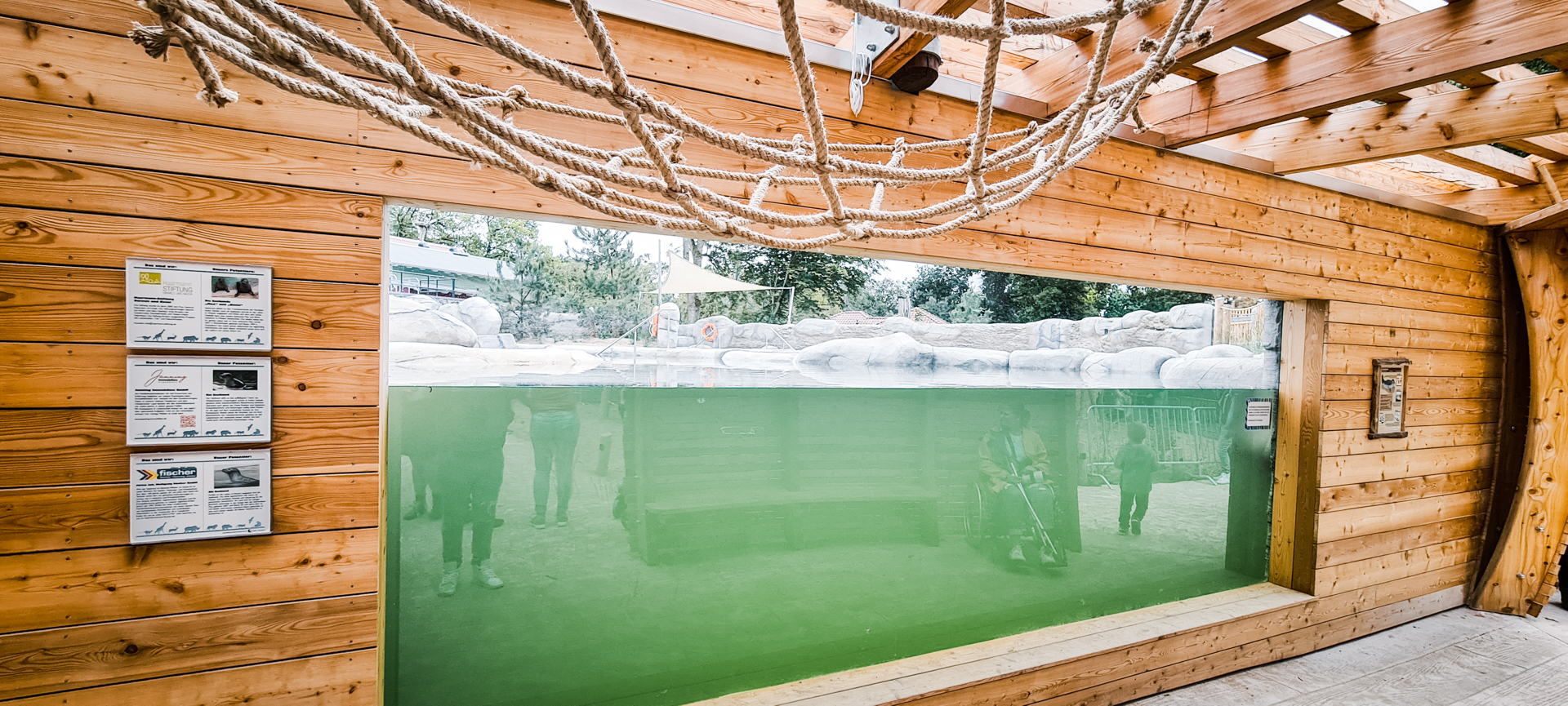The underwater viewing for seals