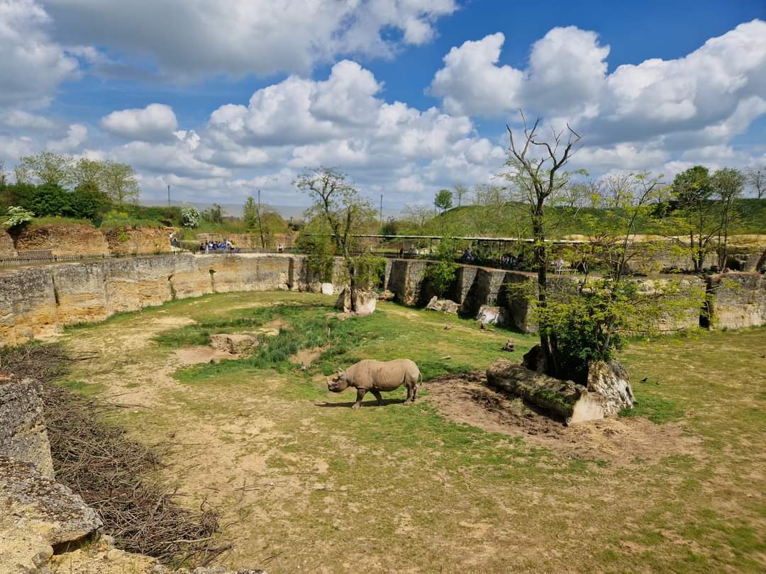 The  Valley of the Black Rhino