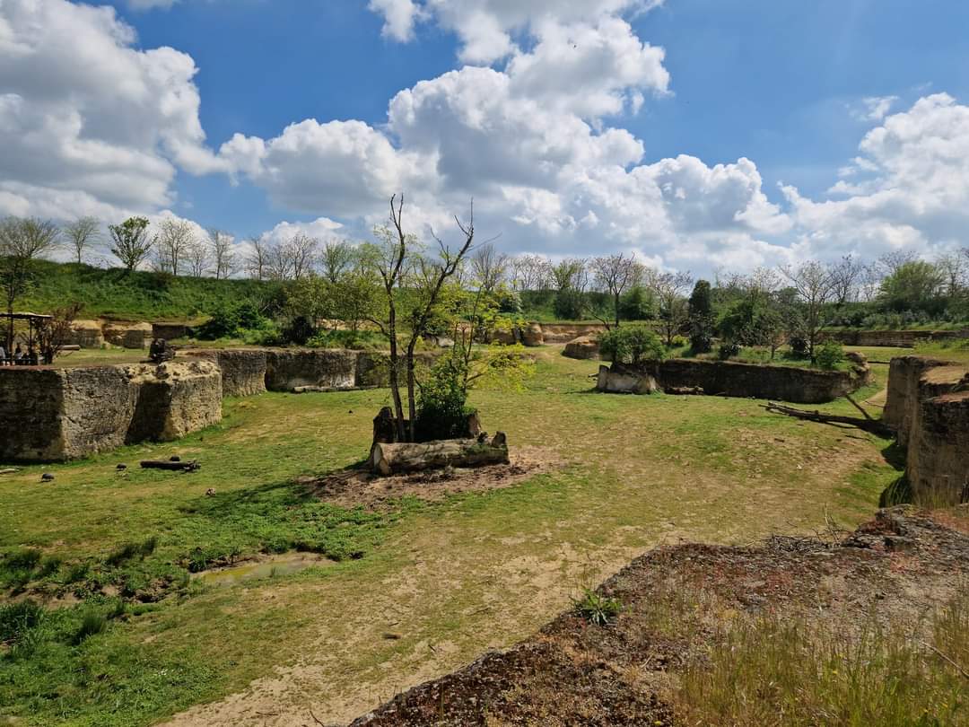 The  Valley of the Black Rhino