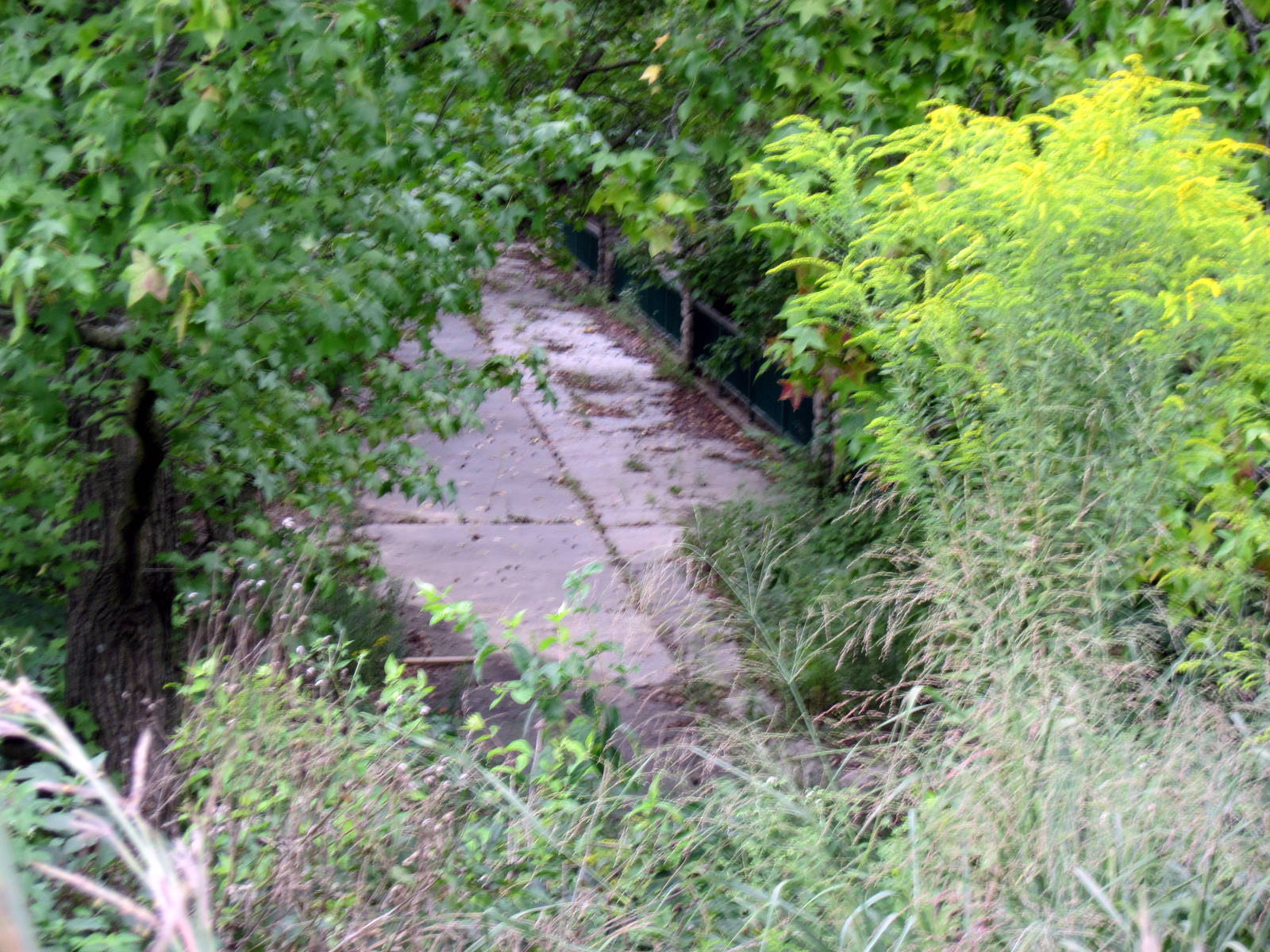 The Valley-Old Bear Grottos