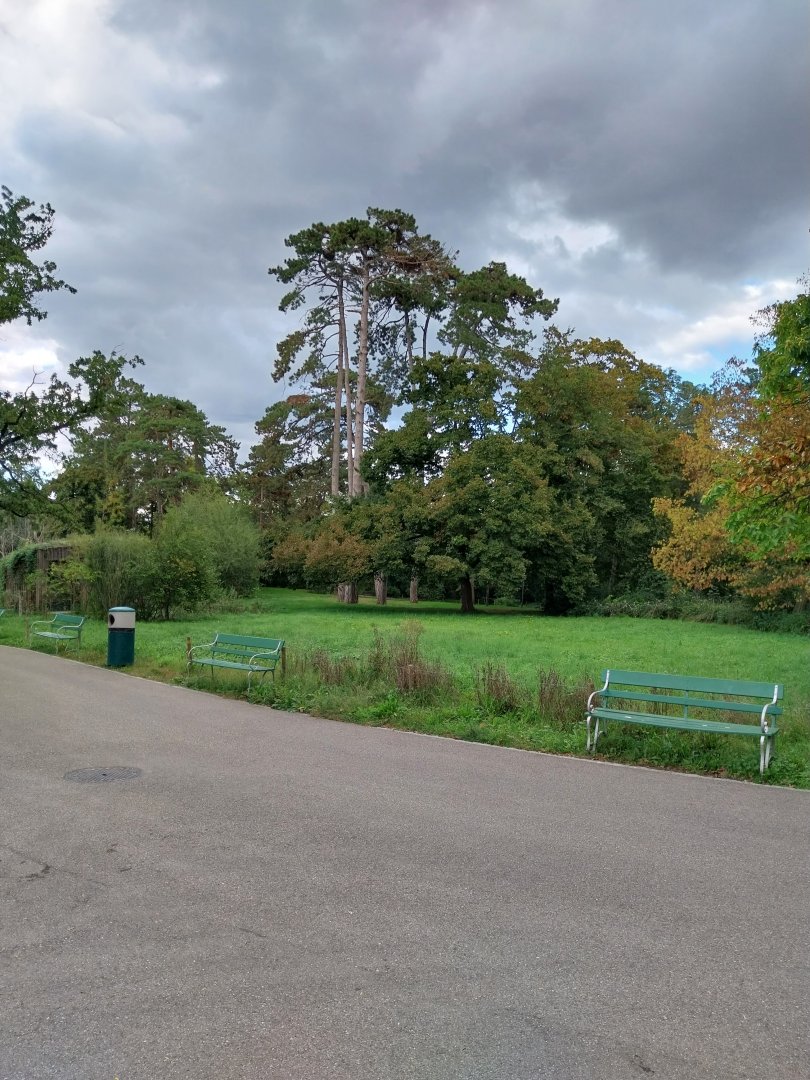 The very green mid section of the zoo