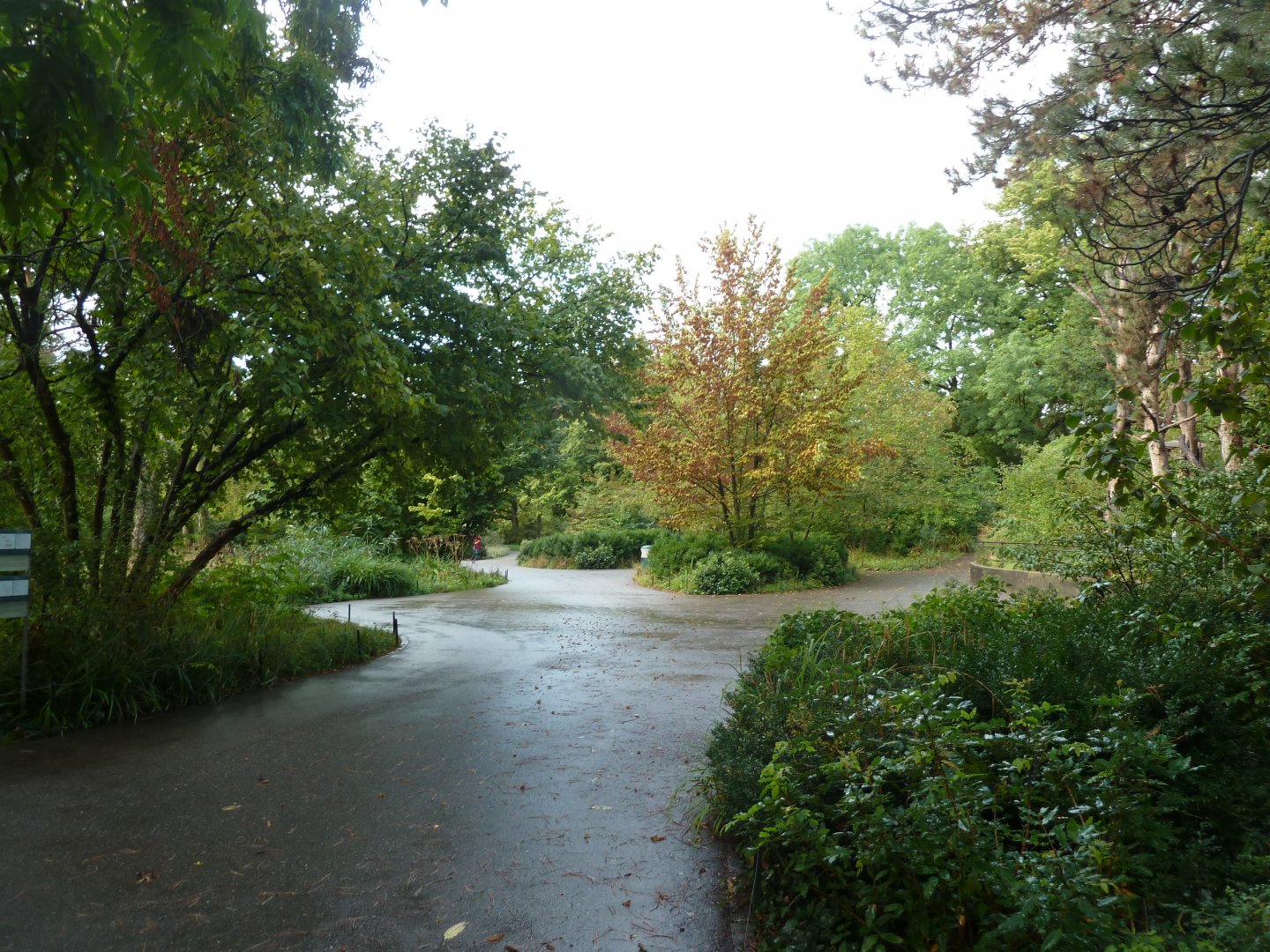 The very green mid section of the zoo