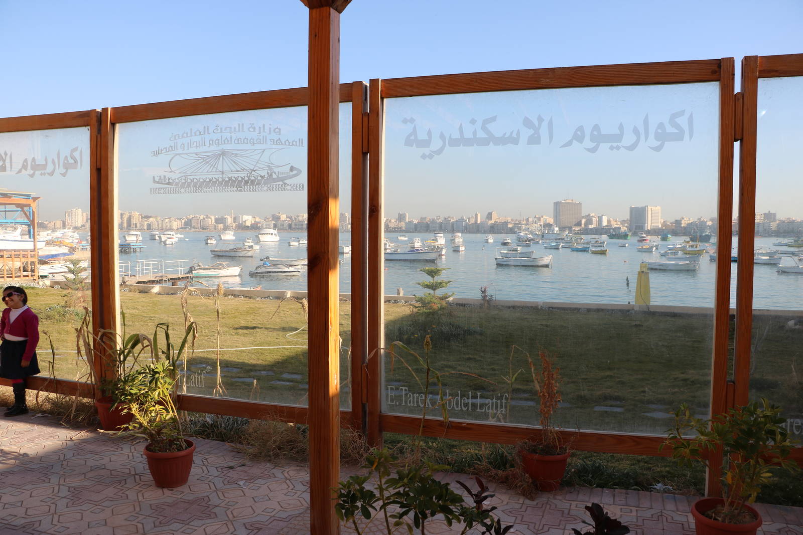 The view across Alexandria's harbour, February 2016