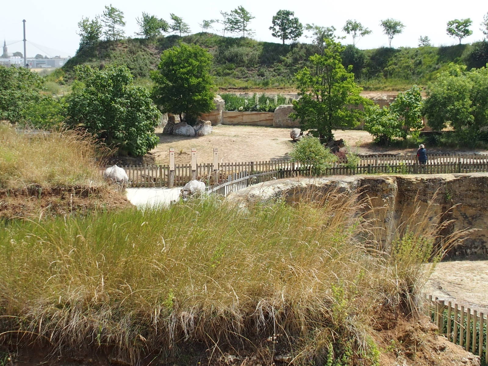 The view across the enclosure