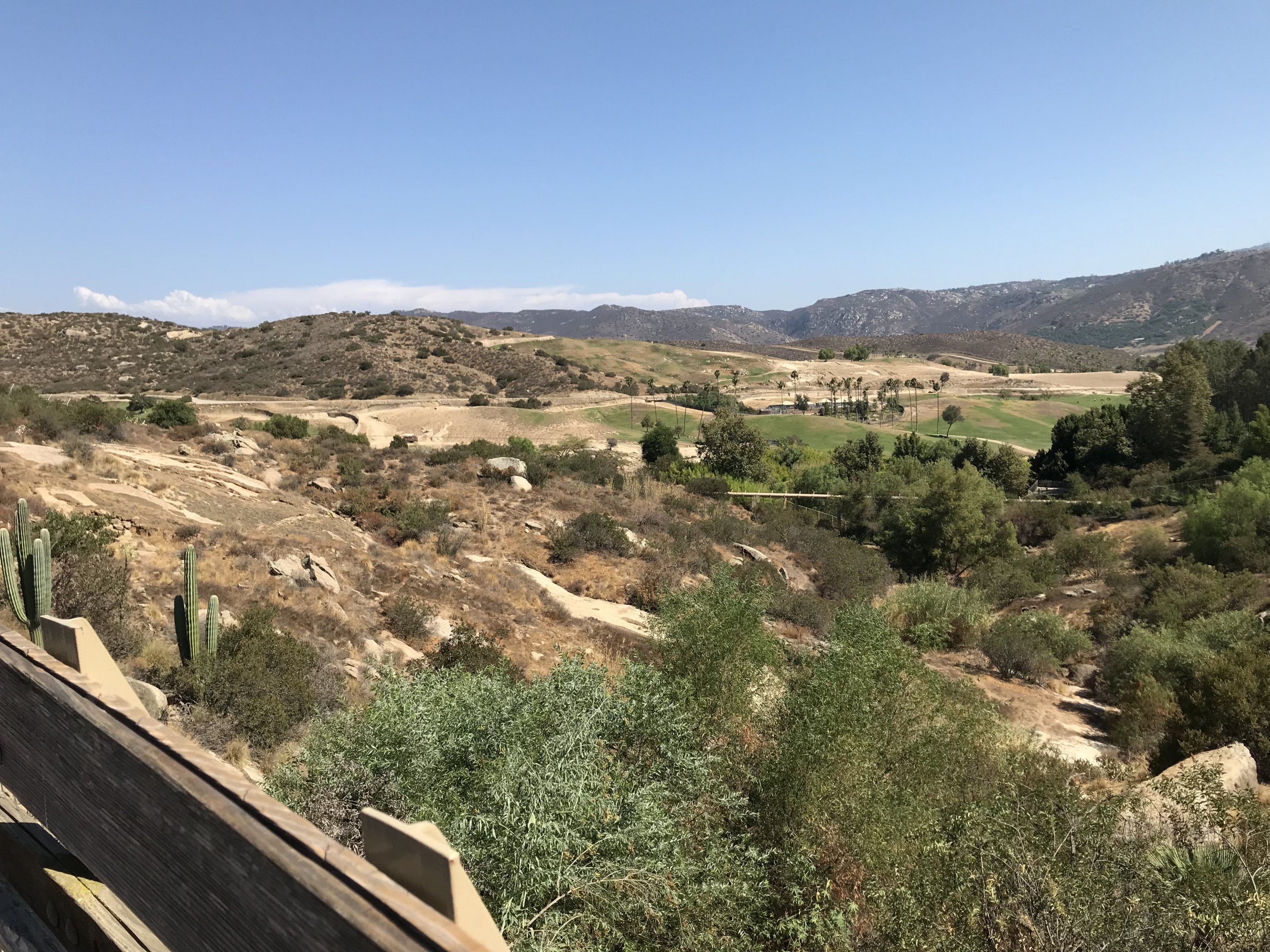 The View from Condor Ridge