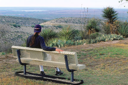 the view from LDSP (New Mexico)