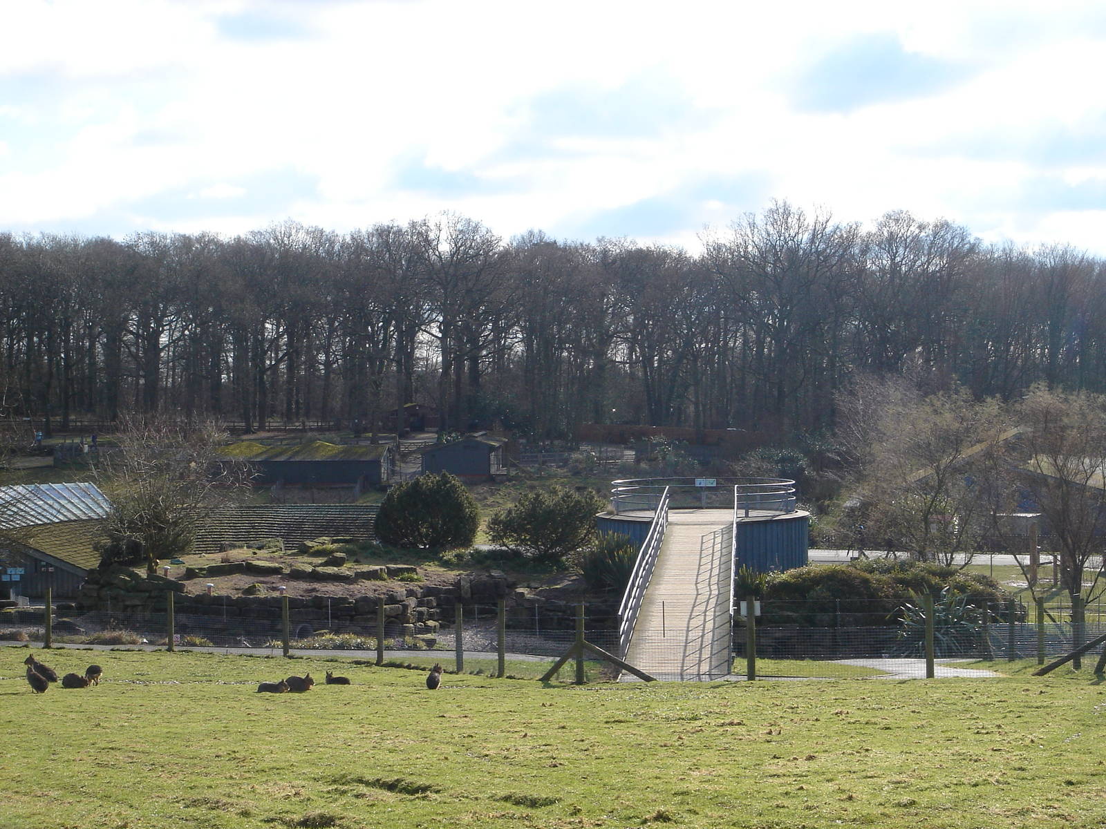 The view from the Mara paddock