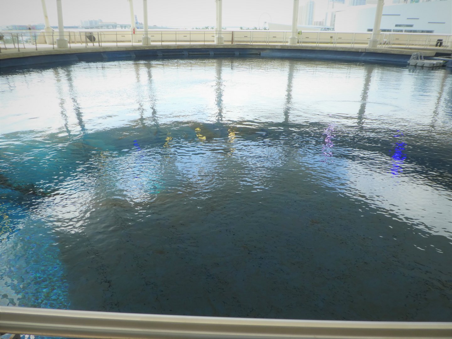 The Vista - Gulf Stream Habitat from Above