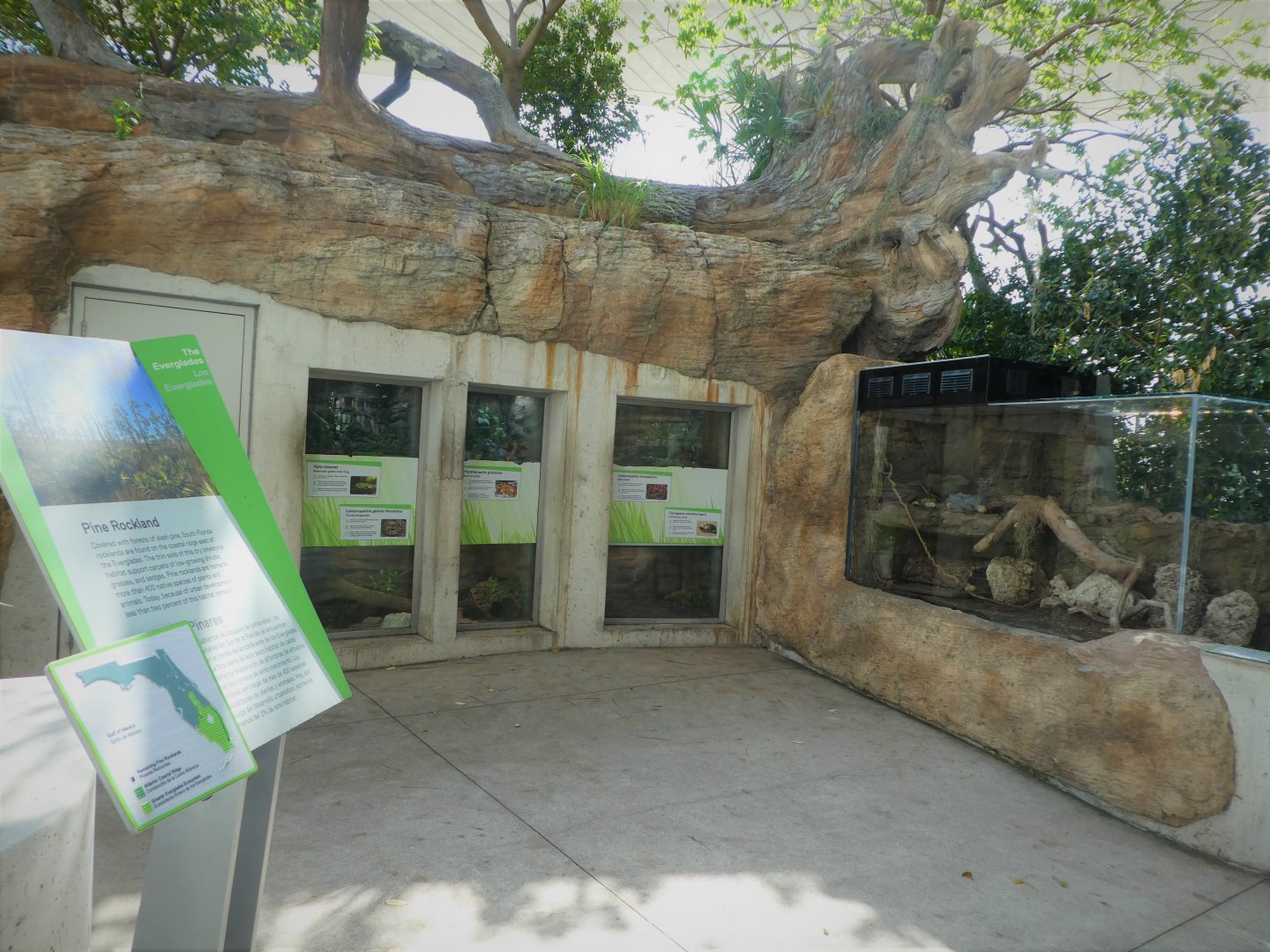 The Vista - Pine Rocklands - Terrariums