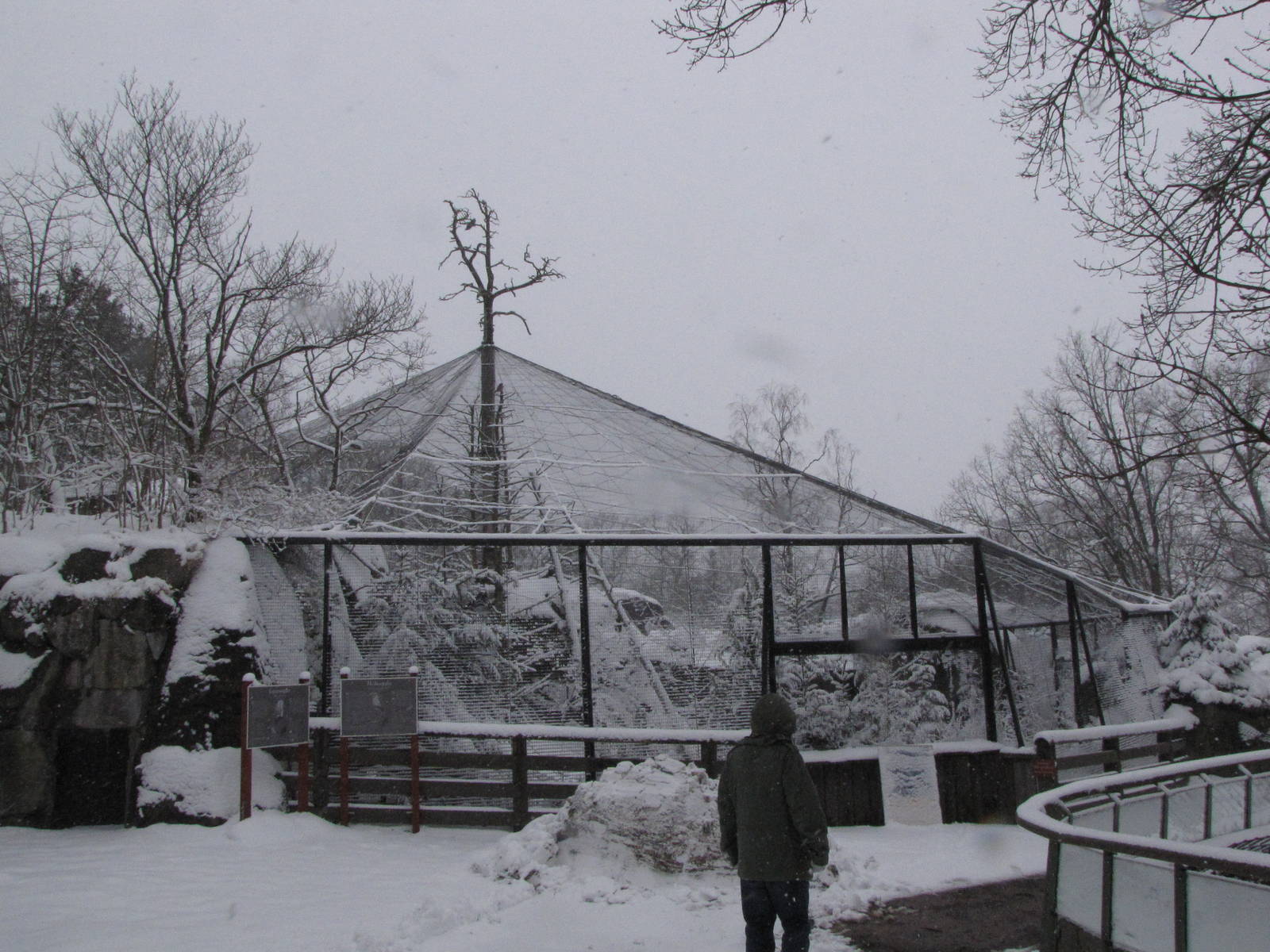 The walk-through aviary at Skansen