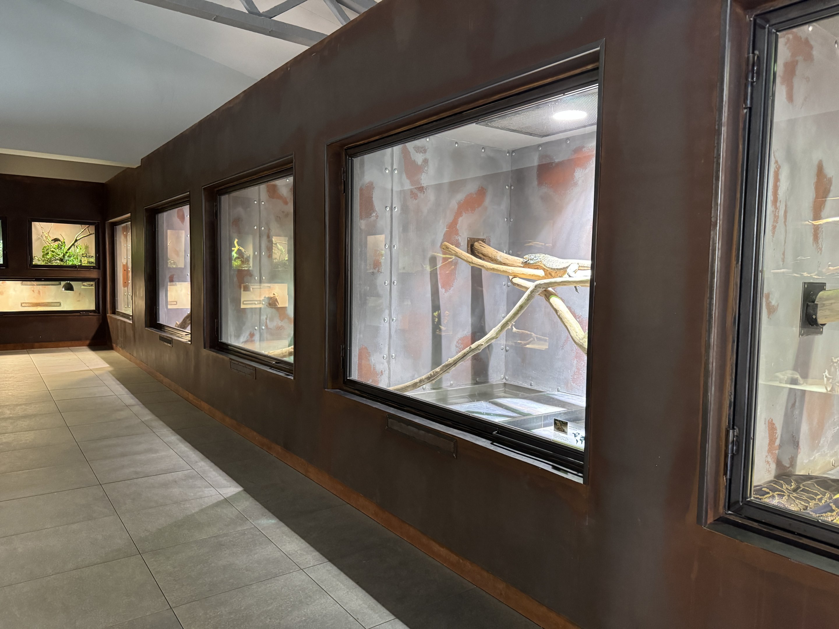 The wall with larger terrariums - Terrarium Staré Město