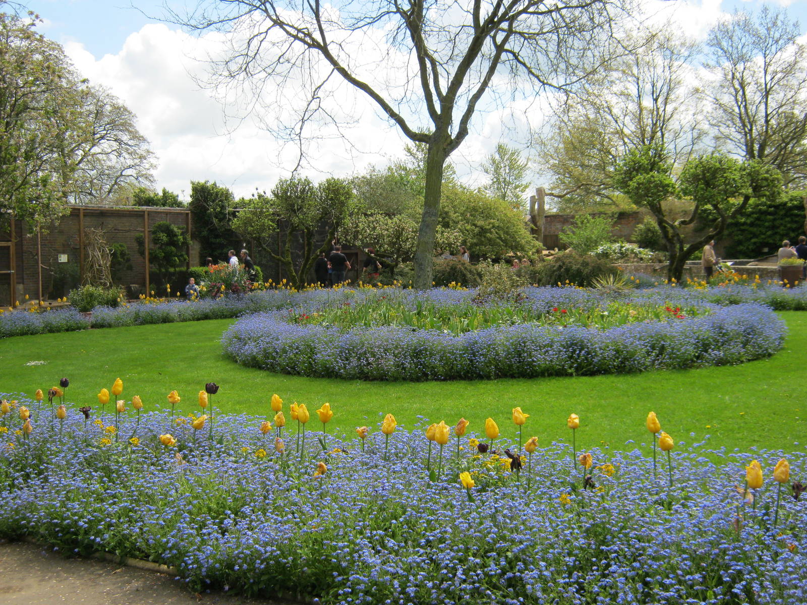 The walled garden 2012