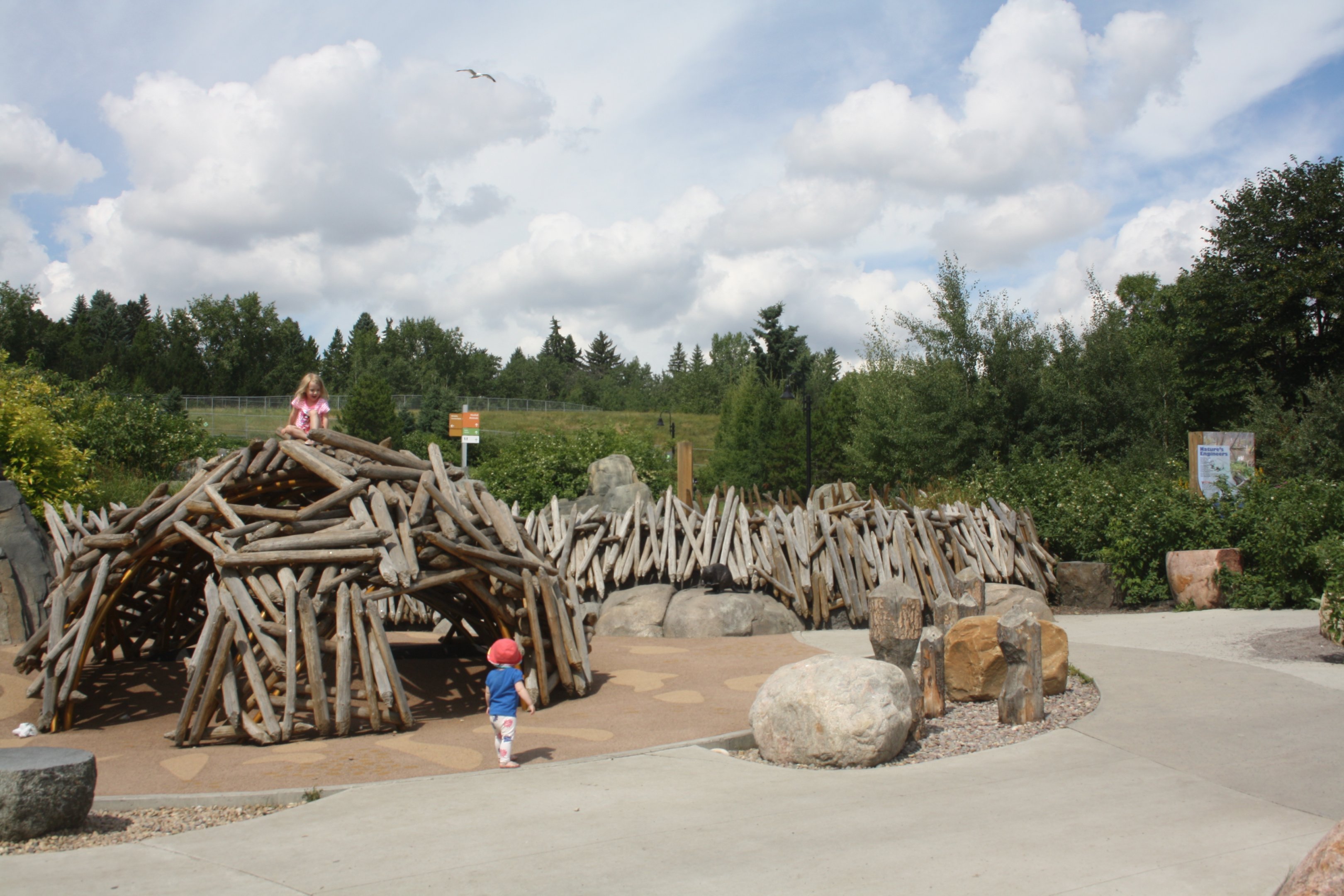 The Wander (Beaver Dam) - New in 2014