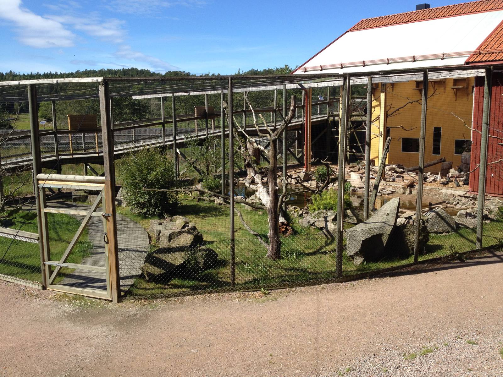 The Wetland - Aviary for Northern blad ibis and European roller