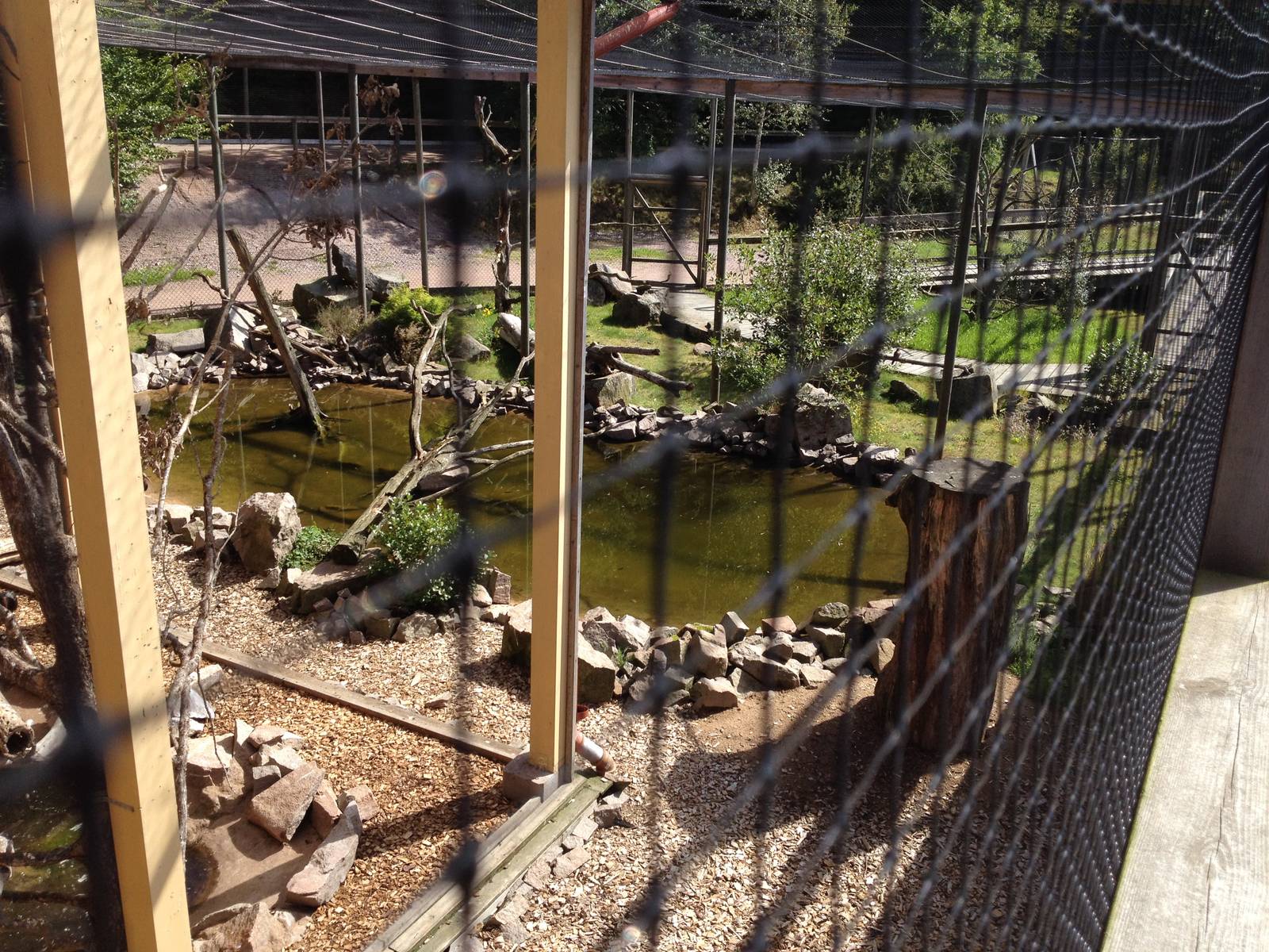 The Wetland - Aviary for Northern blad ibis and European roller